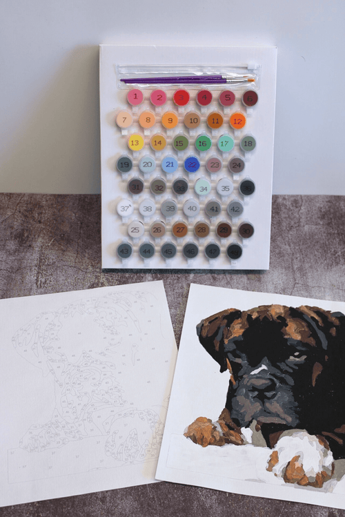 DIY Paint Your Pet Kit - The Crafty Kit
