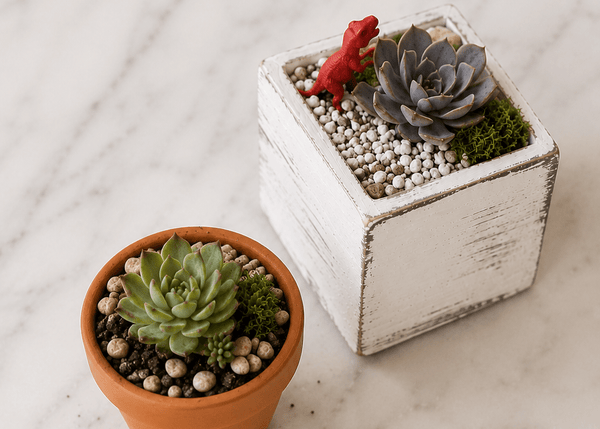 DIY Mini Terrarium Kit - The Crafty Kit