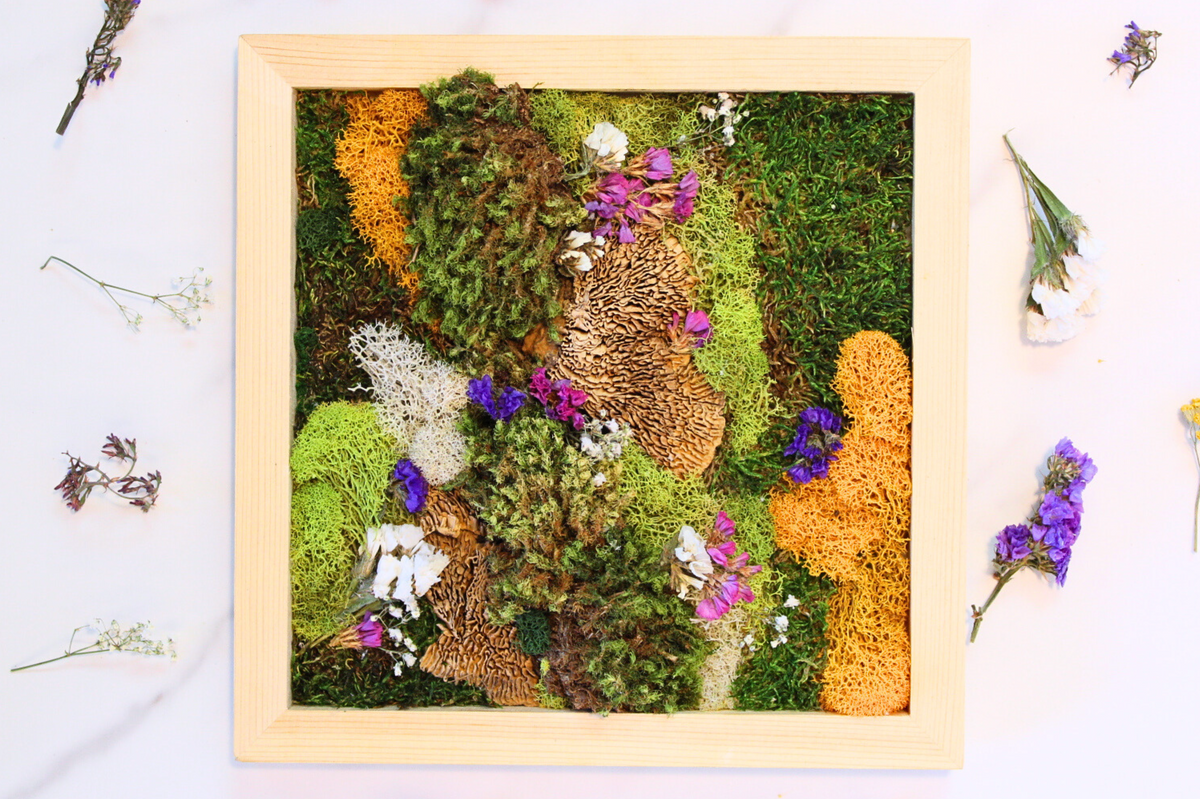 DIY Vertical Moss Wall Art Kit