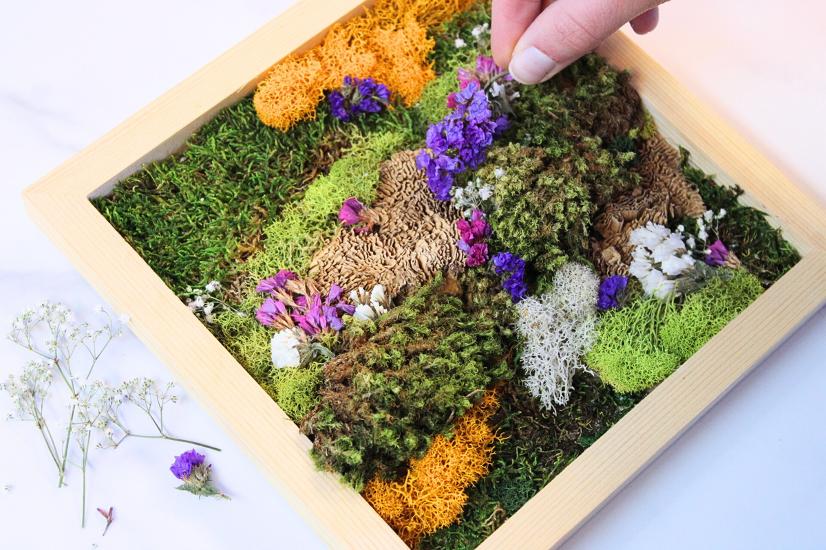 DIY Vertical Moss Wall Art Kit