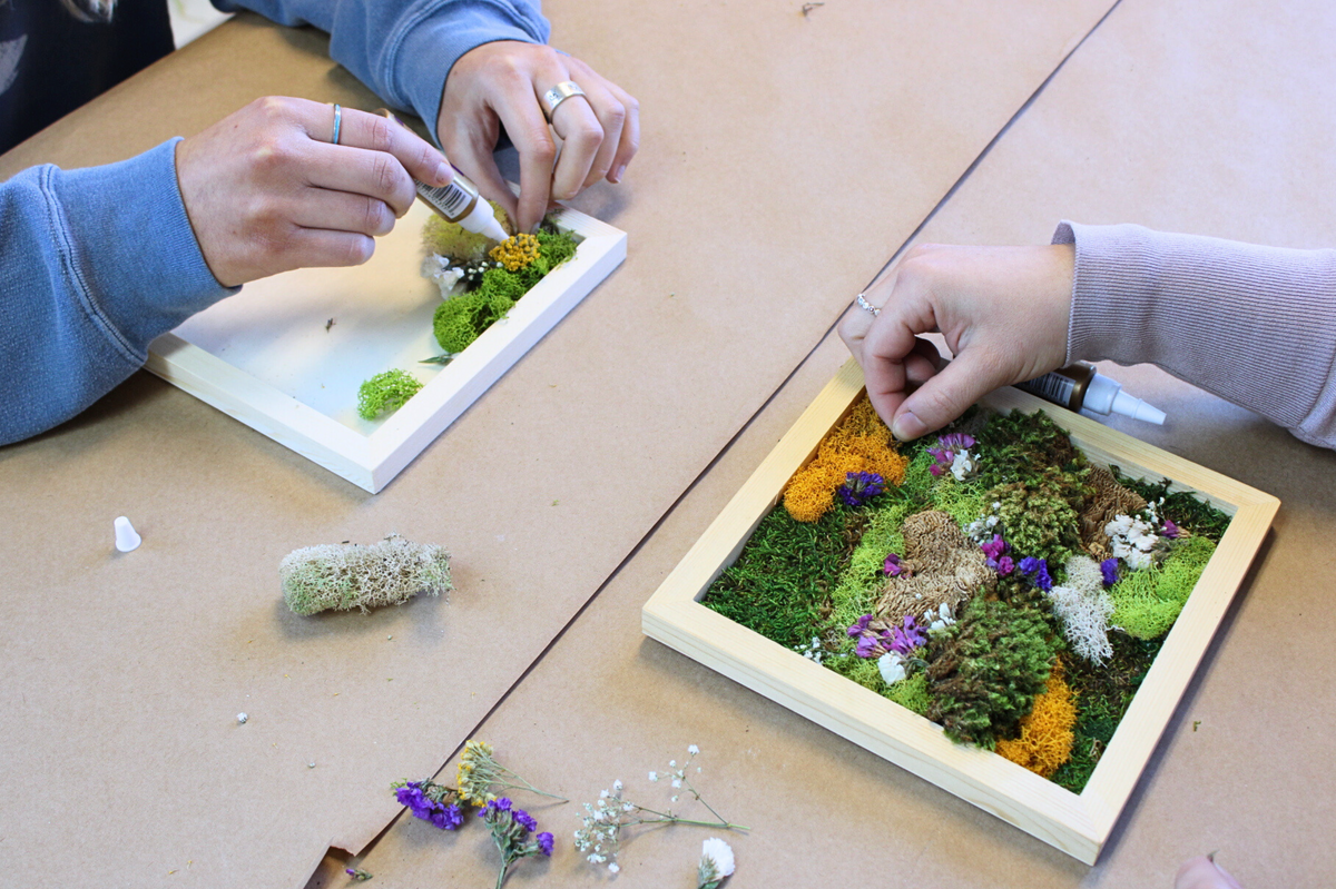 DIY Vertical Moss Wall Art Kit