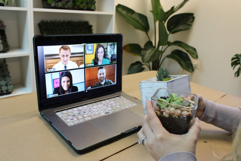 Terrarium Online Zoom Workshop