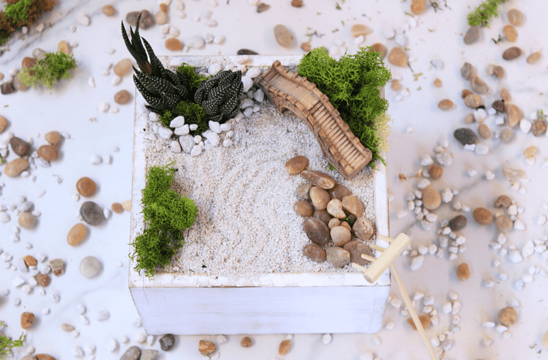 DIY Zen Garden Kit - The Crafty Kit