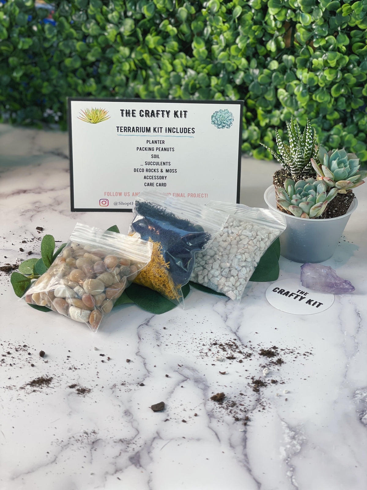 amethyst succulent Amethyst Crystal Planter Kit – The Crafty Kit