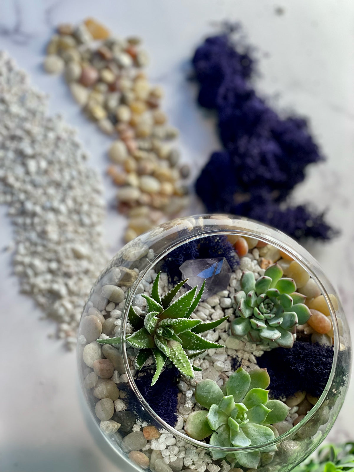 succulent planter kits Amethyst Crystal Planter Kit – The Crafty Kit