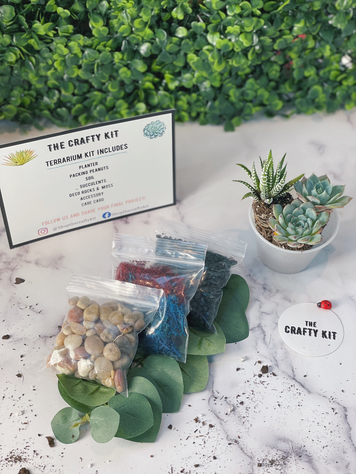 DIY Beautiful Slope Bowl Planter Kit – The Crafty Kit