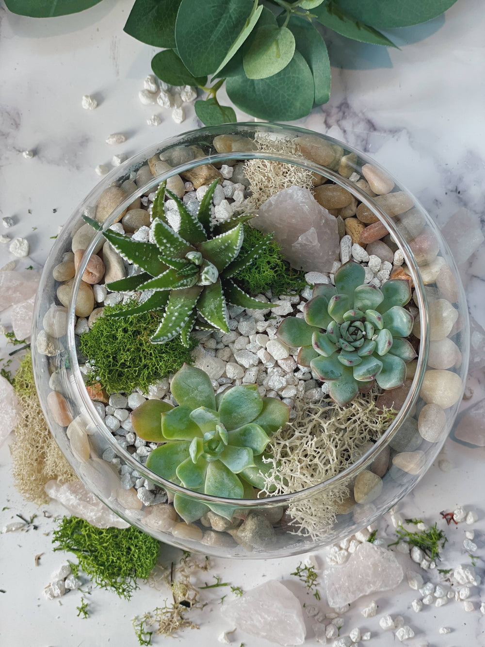 succulent crystal garden Rose Quartz Planter Kit – The Crafty Kit