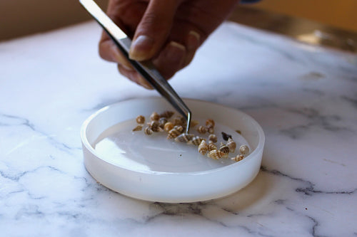 DIY Resin Art Coaster Kit - The Crafty Kit